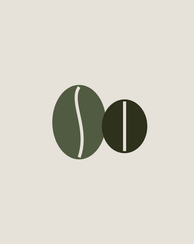 ¿Arábica o robusta? La diferencia en tu taza